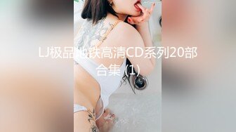 LJ极品地铁高清CD系列20部合集 (1)