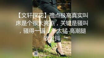 【文轩探花】撸点极高真实叫床是个很大亮点，关键是骚叫，骚得一逼，干太猛 高潮腿软发抖