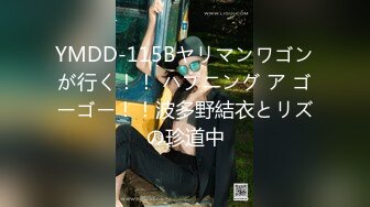 YMDD-115Bヤリマンワゴンが行く！！ ハプニング ア ゴーゴー！！波多野結衣とリズの珍道中